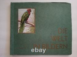 1928 Germany album set (156 cards), EINSTEIN, CHANEY, LIEBERMANN, 1928 OLYMPICS