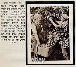 1939 Jewish CIGARETTE Album EINSTEIN CARD Bezalel HERZL Judaica ERETZ ISRAEL