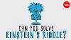 Can You Solve Einstein S Riddle Dan Van Der Vieren