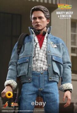 HOT TOYS 1/6 MMS573 BACK TO THE FUTURE MARTY MCFLY and EINSTEIN Figure