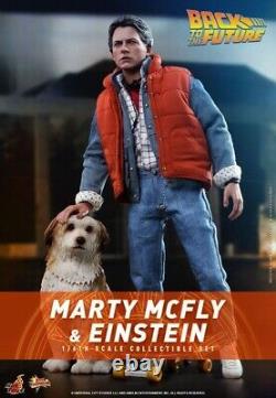 Marty McFly and Einstein Sixth Scale Figure Set by Hot Toys MMS573 used