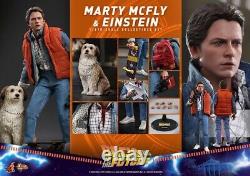 Marty McFly and Einstein Sixth Scale Figure Set by Hot Toys MMS573 used