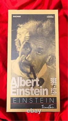 Albert Einstein 1 6 Figure